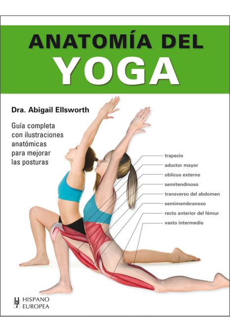 Anatomia Del Yoga Pdf